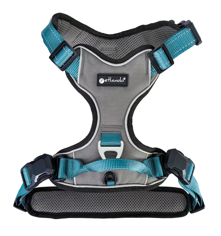 Petlando Magnetech Harness anthracite/petrol