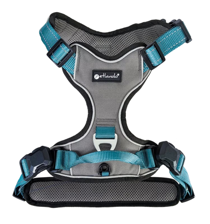 Petlando Magnetech Harness anthracite/petrol