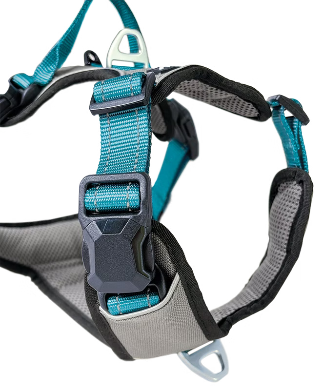 Petlando Magnetech Harness anthracite/petrol