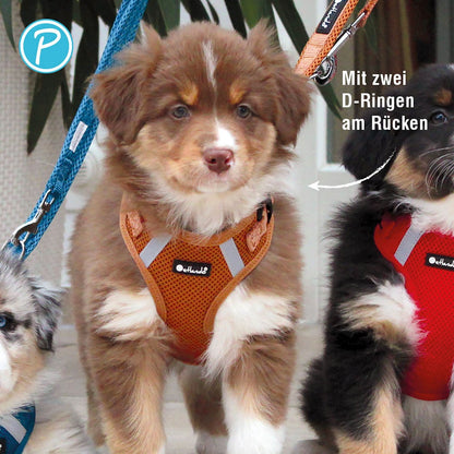 Petlando Mesh Vest Hundegeschirr