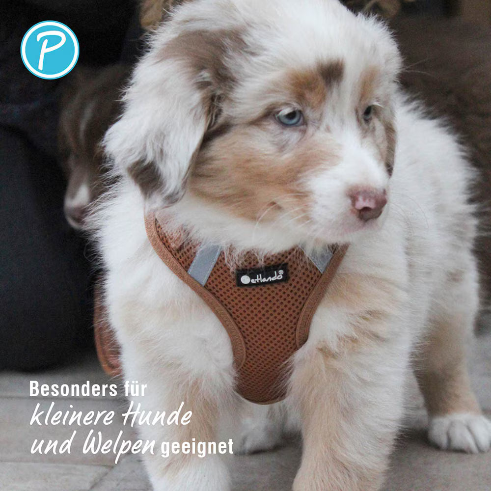 Petlando Mesh Vest Hundegeschirr