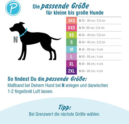 Petlando OUTDOOR COLLAR