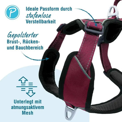 Petlando OUTDOOR HARNESS