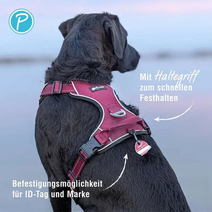Petlando OUTDOOR HARNESS