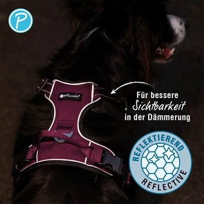 Petlando OUTDOOR HARNESS
