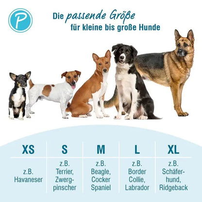 Petlando OUTDOOR HARNESS