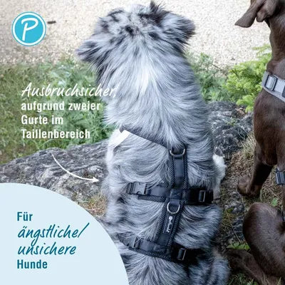 Petlando SAFETY HARNESS