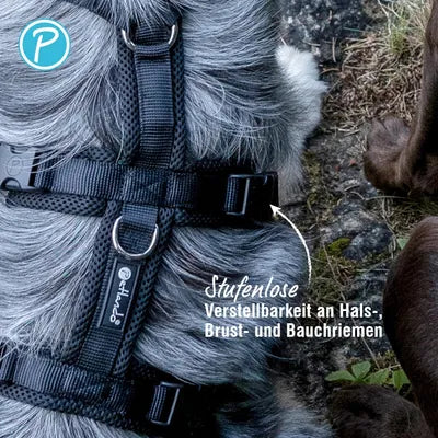 Petlando SAFETY HARNESS