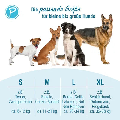 Petlando SAFETY HARNESS
