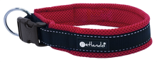 Petlando Outdoor Halsband für Hunde
