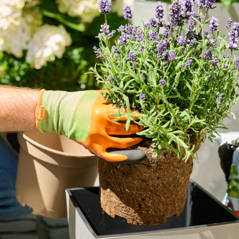 Siena Garden Pflanzhandschuh für Pflanz & Pflegearbeiten