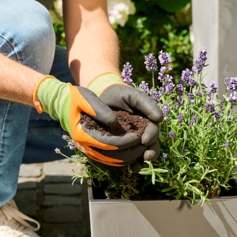 Siena Garden Pflanzhandschuh für Pflanz & Pflegearbeiten