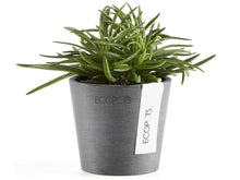Ecopots Planter Amsterdam Mini
