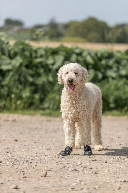 Trixie Pfotenschutz Walker Active