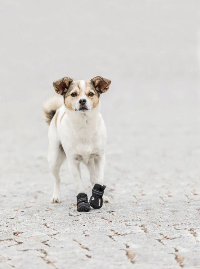 Trixie Pfotenschutz Walker Active