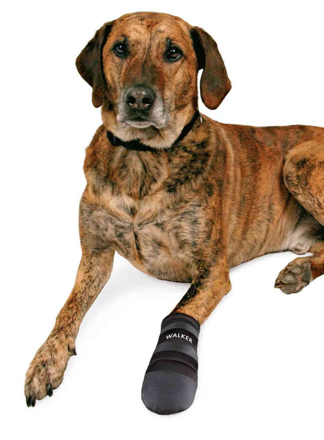 Trixie Pfotenschutz Walker Care