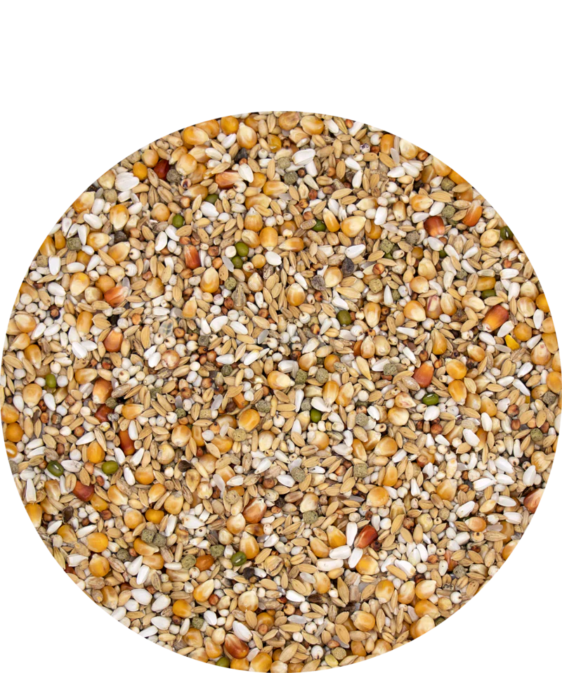 Versele-Laga Plus Gerry, 20 kg
