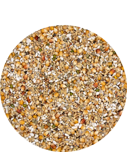 Versele-Laga Plus Gerry, 20 kg