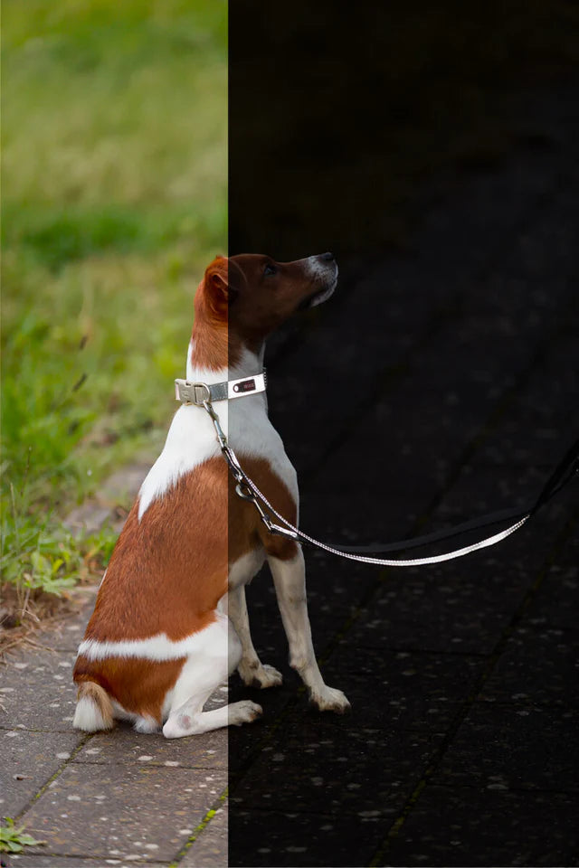 Trixie Premium Reflect Collar, Graphite