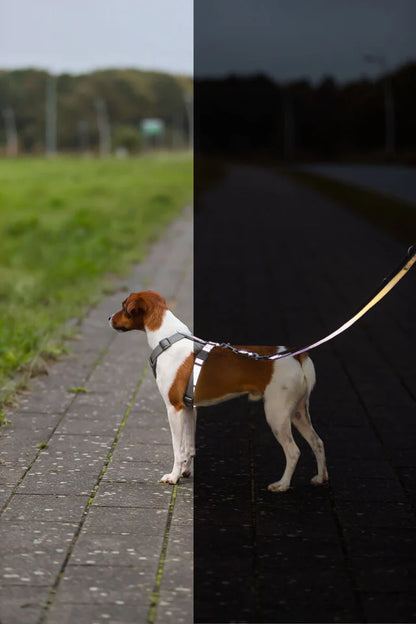 Trixie Premium Reflect Verlängerungsleine