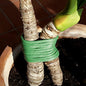 Prima Flora Foam-Covered Wire, Ø 10 mm x 10 m