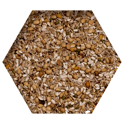 Beyers Premium Super Energy 2.5kg