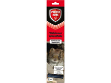 SBM PH Vole Live Trap