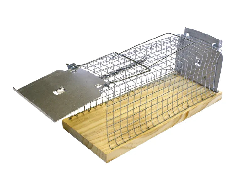 Classic Rat Cage