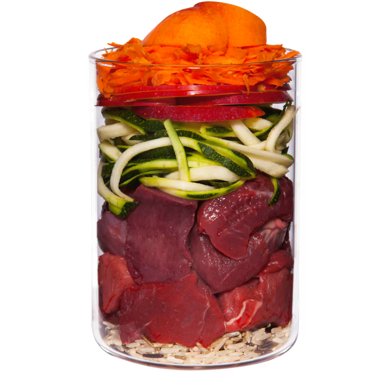 Terra Canis Rind+Karotte+Apfel+Naturreis