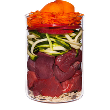 Terra Canis Beef+Carrot+Apple+Natural Rice