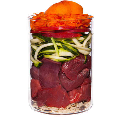 Terra Canis Rind+Karotte+Apfel+Naturreis