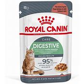 Royal Canin FCN Digestive Care Gravy