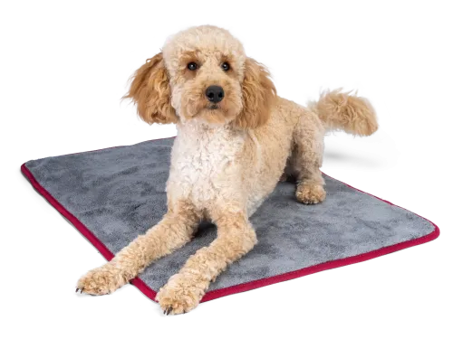TrendPet Kuschel und Trocknungsdecke 50x35cm