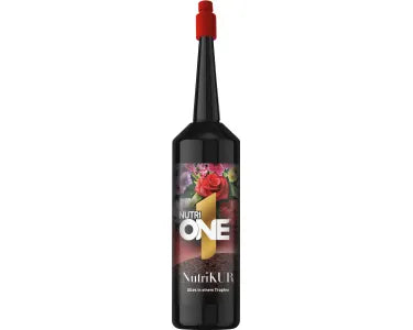 SBM Nutri One Aufbaukur