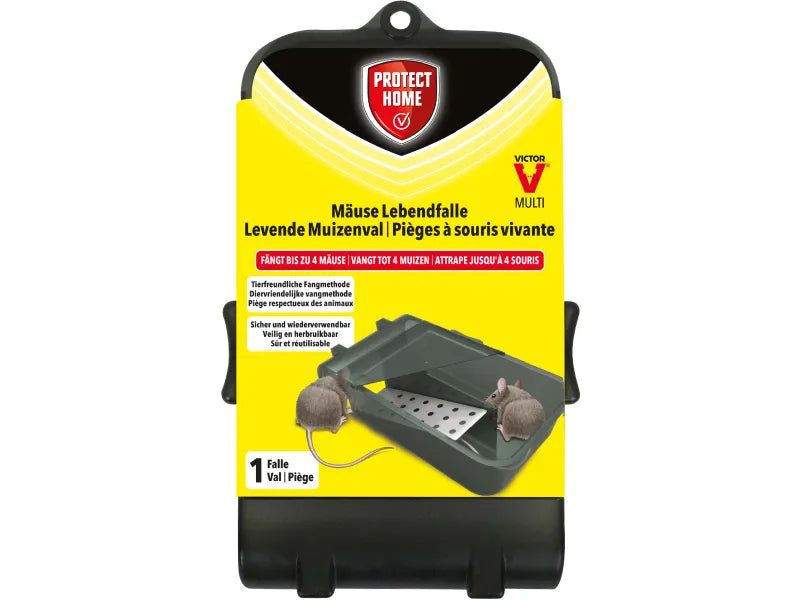 SBM PH Multi-Catch Mouse Trap