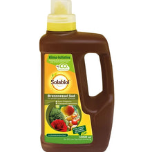 SBM Solabiol Nettle Brew