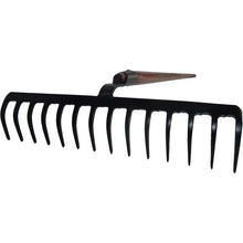 Rex Beetroot 14 prongs