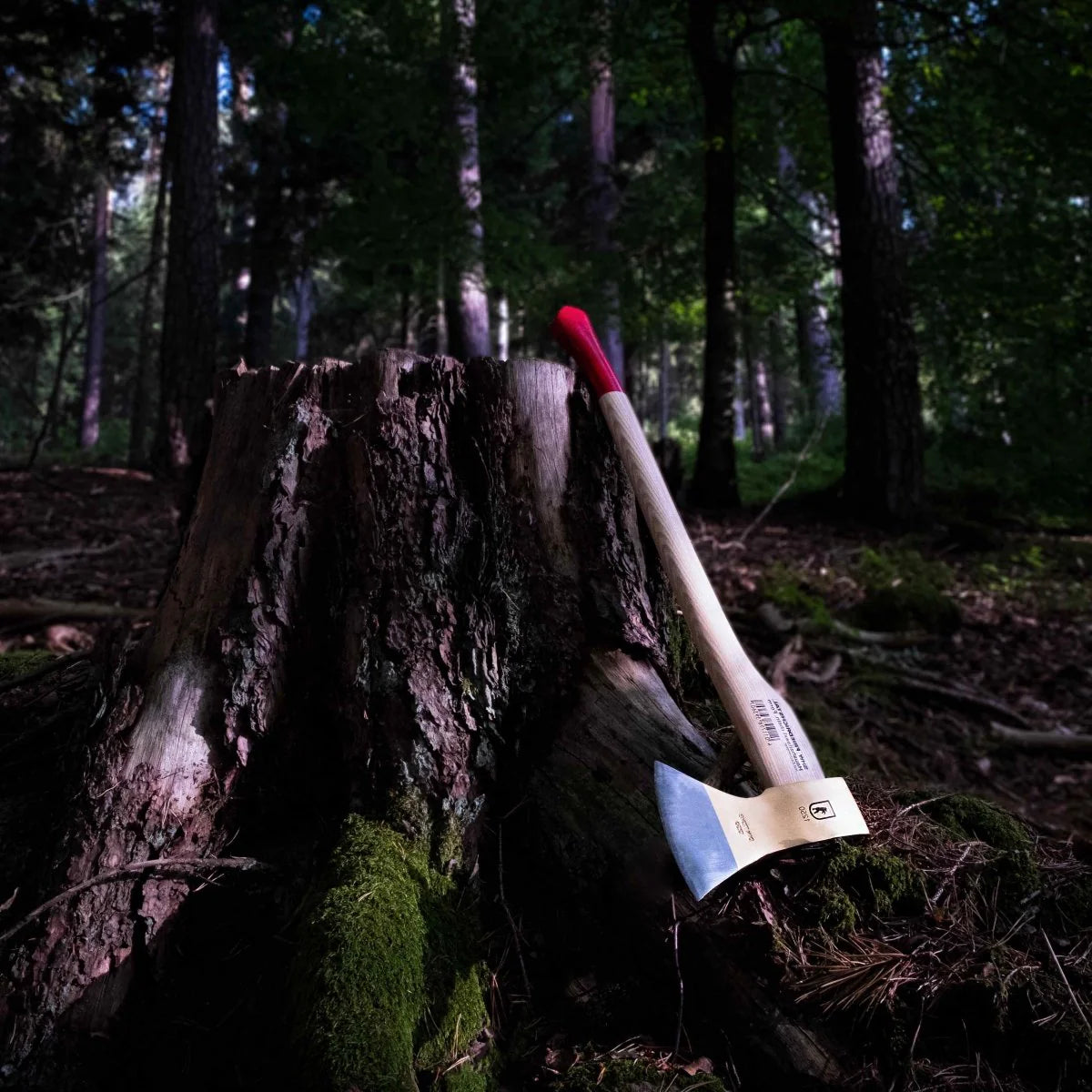 SHW Haushaltsaxt 1250 g mit Stiel