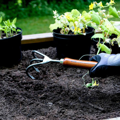 Rex Hand Cultivator with Ash Wood Handle