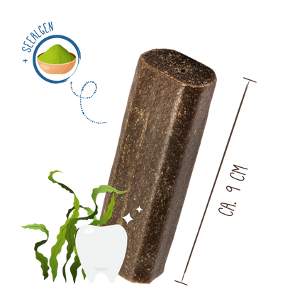 Bosch Sammy's Tooth Fairy