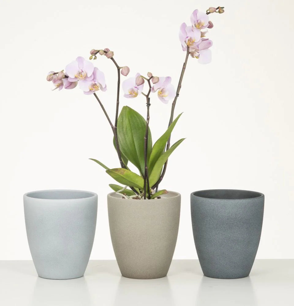 Scheurich Orchideentopf 620