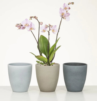 Scheurich Orchideentopf 620