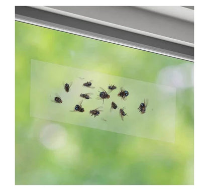 Schopf Silence Window Fly Trap