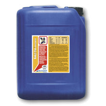 Schopf Kokzi Des Concentrate