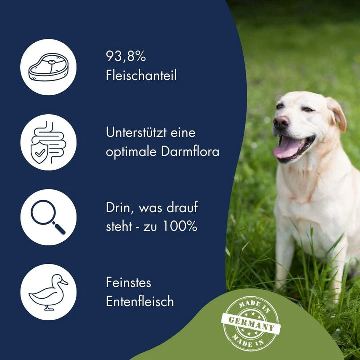 Dr.Clauder's Selected Meat Immune Plus Salmon & Natural Rice
