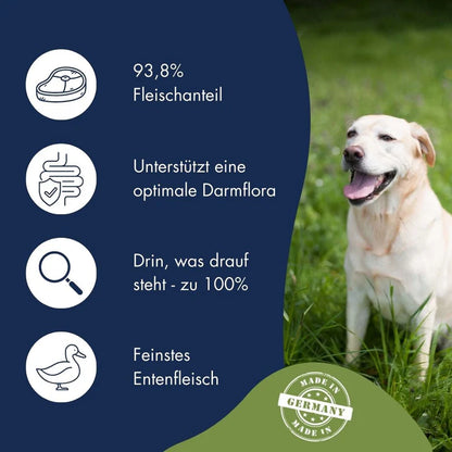 Dr.Clauder's Selected Meat Immune Plus Salmon & Natural Rice
