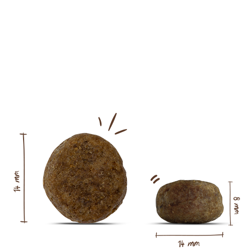 Bosch Sensitive Duck+Potato
