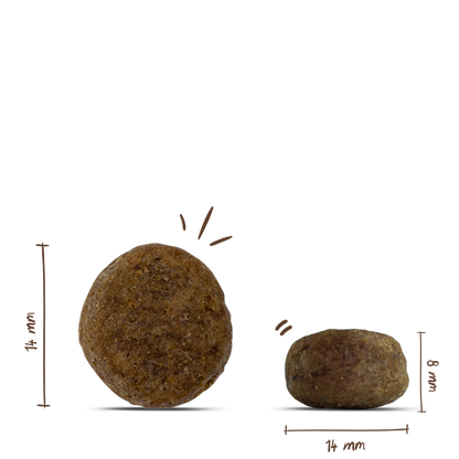 Bosch Sensitive Duck+Potato