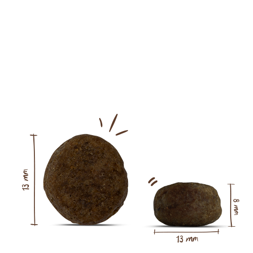 Bosch Sensitive Lamb+Rice