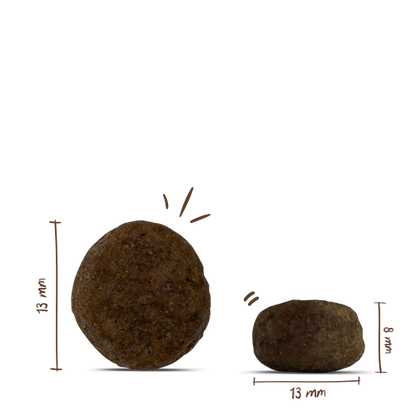 Bosch Sensitive Lamb+Rice